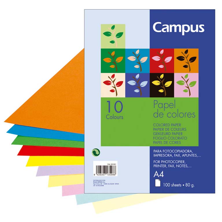 PAPEL DIN A4 CAMPUS 80 GRAMOS PAQUETE 100 HOJAS 10 COLORES SURTIDOS